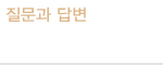 질문과 답변