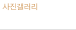 사진갤러리